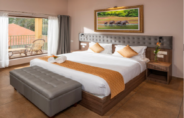 1 x Premium Ac Deluxe Room with Balconey